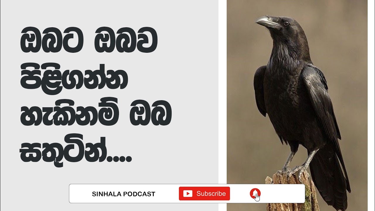 Sinhala Podcast | ඔබ ඔබව තවත් අයෙක් සමඟ සංසන්දනයෙන් මොකක්ද වෙන්නේ? | 2023.05.10