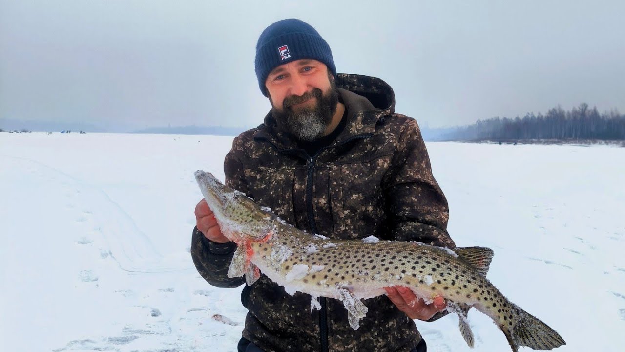 Щуки первого льда🎣. Открытие сезона на Бурейском водохранилище. 