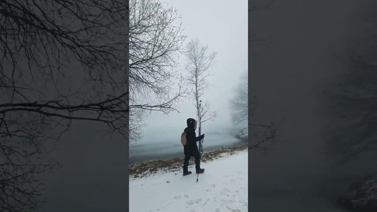 Fallen snow, frozen lake and the mist was ghost-gray.1369 M, Uri 🇨🇭 Switzerland 
