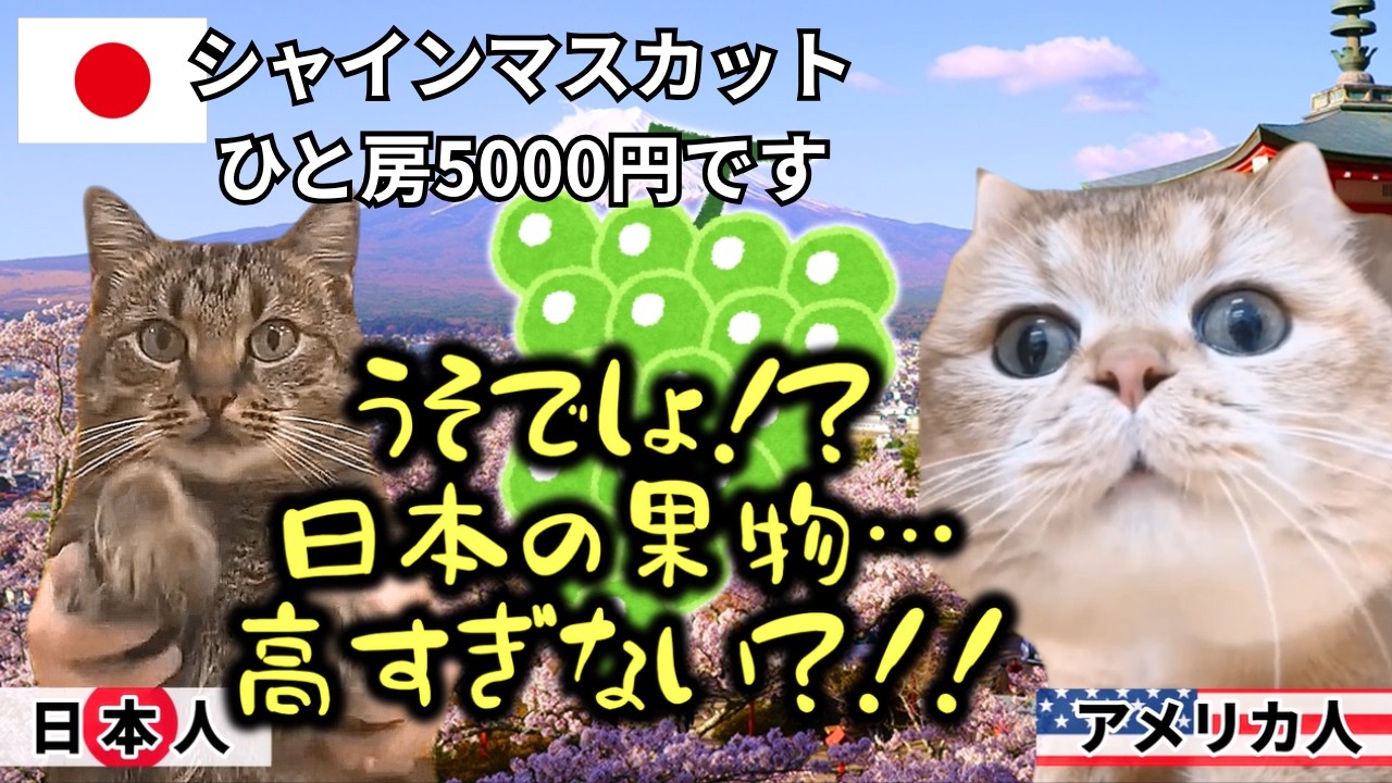 【日本人のこだわり】外国人が日本の果物を選ぶ理由#猫マニ #猫ミーム