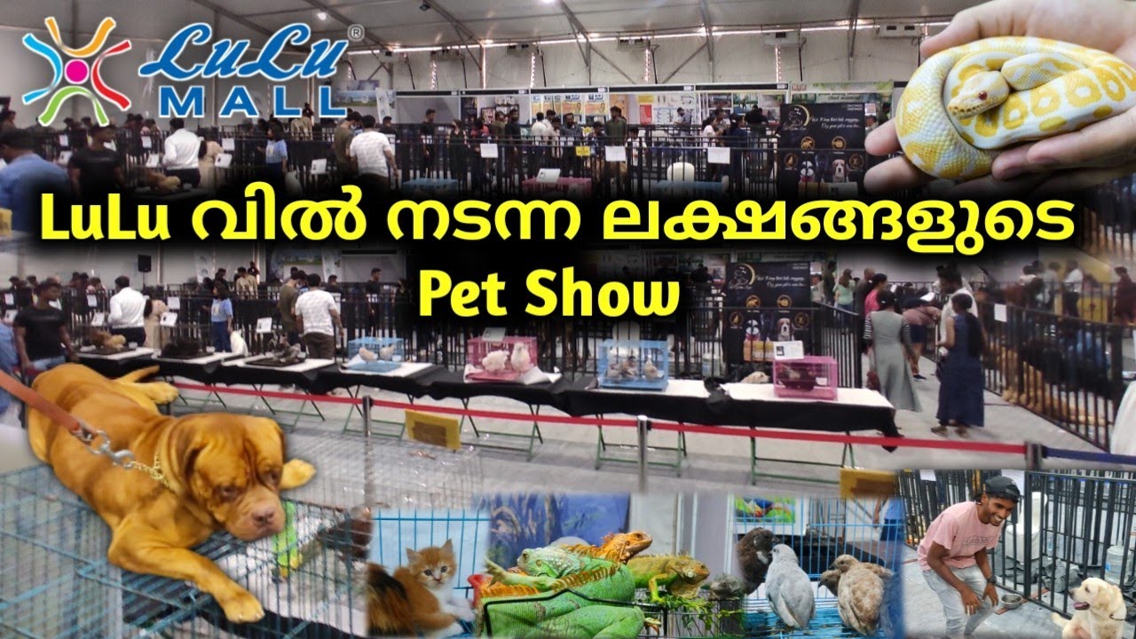 Lulu Mall Pets Show യിലെ കാണാ കാഴ്ചകൾ 🤩 Pets Show In LuLu Mall Trivandrum