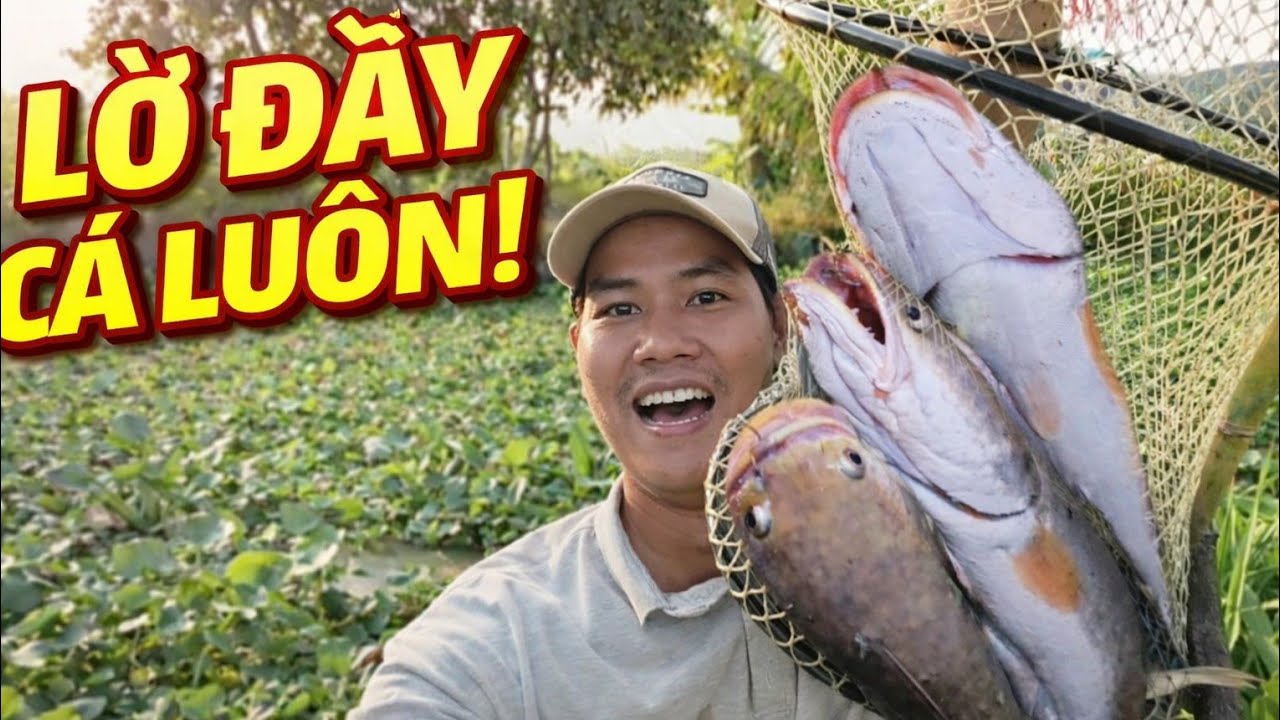 Buổi Sáng Đi Thăm Lờ – Trúng Đậm Ngoài Dự Đoán | Tập 25 HảoMol Vlog