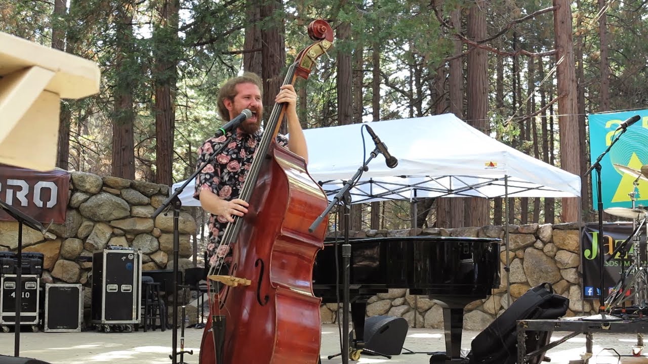 Casey Abrams 