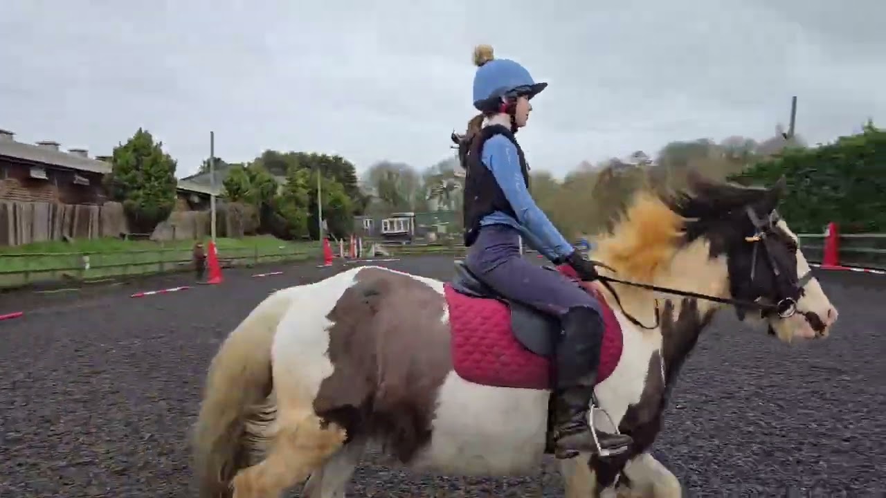 Erin riding Jerry - prelim 2a - e riders - February 
