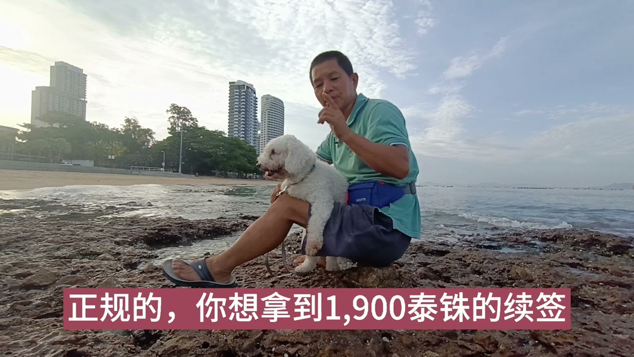 舞哥在泰国：泰国养老签，一年只要1900泰铢400元不到，如何操作续签？#泰国养老