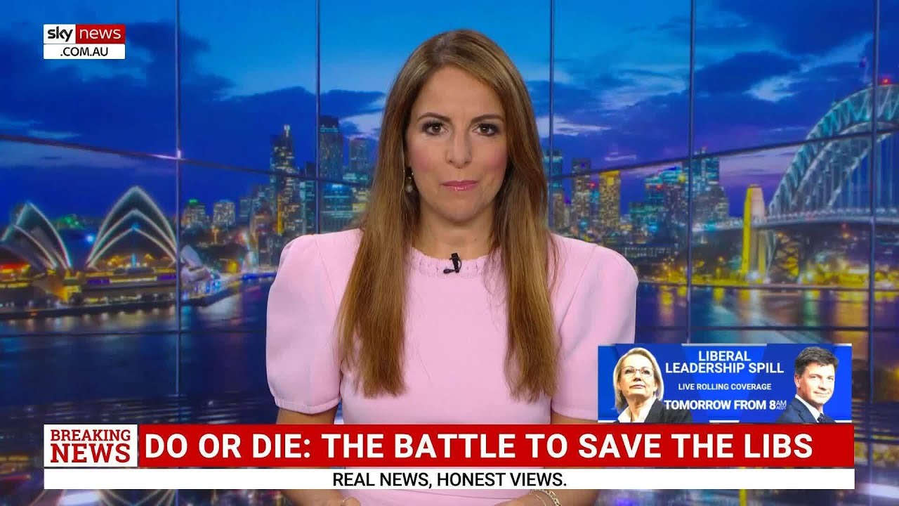 ‘We couldn’t go on like this’: Sussan Ley and Angus Taylor fight over Liberal Party leadership