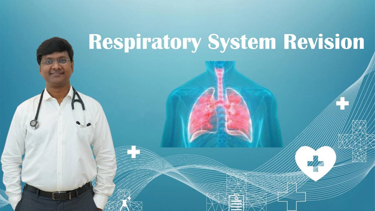 Respiratory System Revision