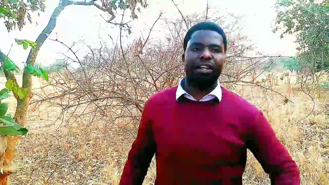 EVANGELIST STEWARD CHIWASA JR. 0978753610