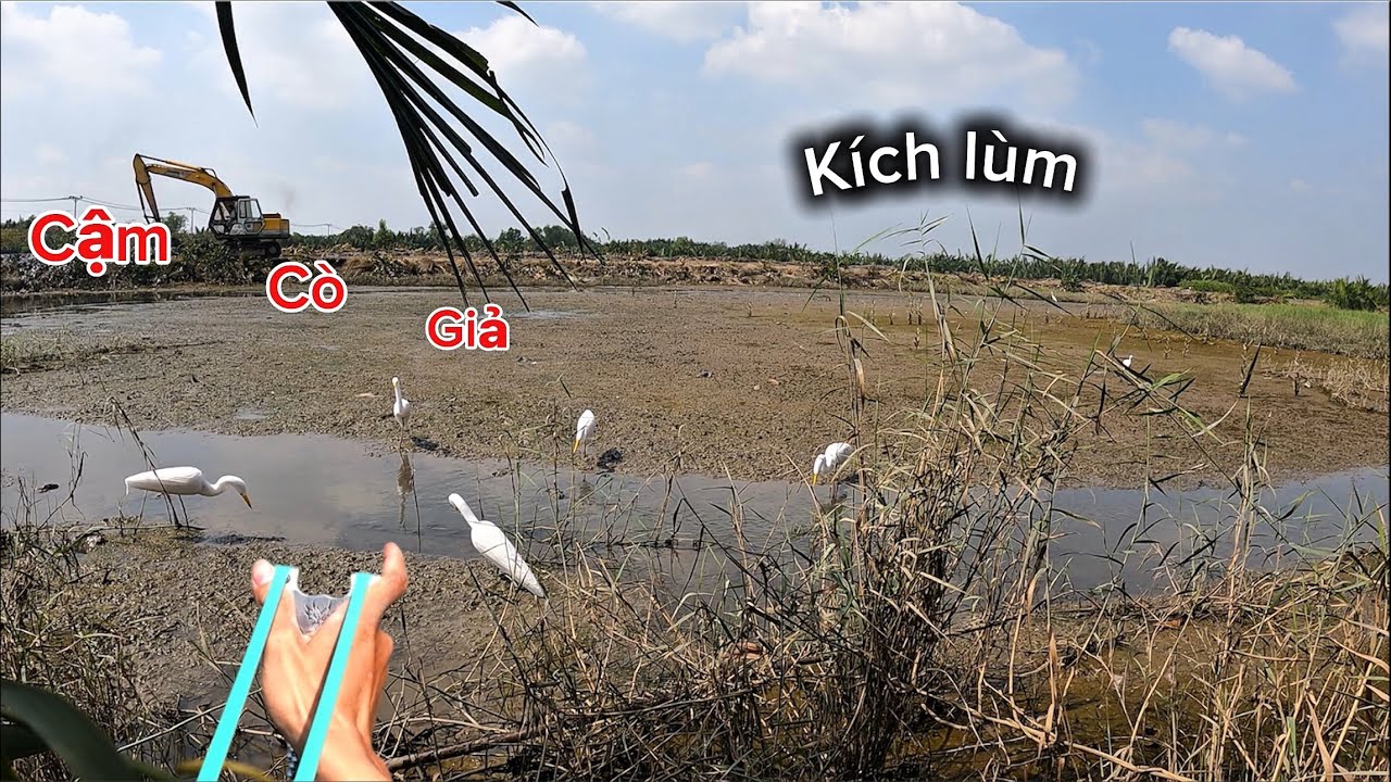 Cậm Cò Giả kích Lùm, Khánh và Linh Hạ Cò Siêu gần Quá Đã Nhưng Rất Tiếc…