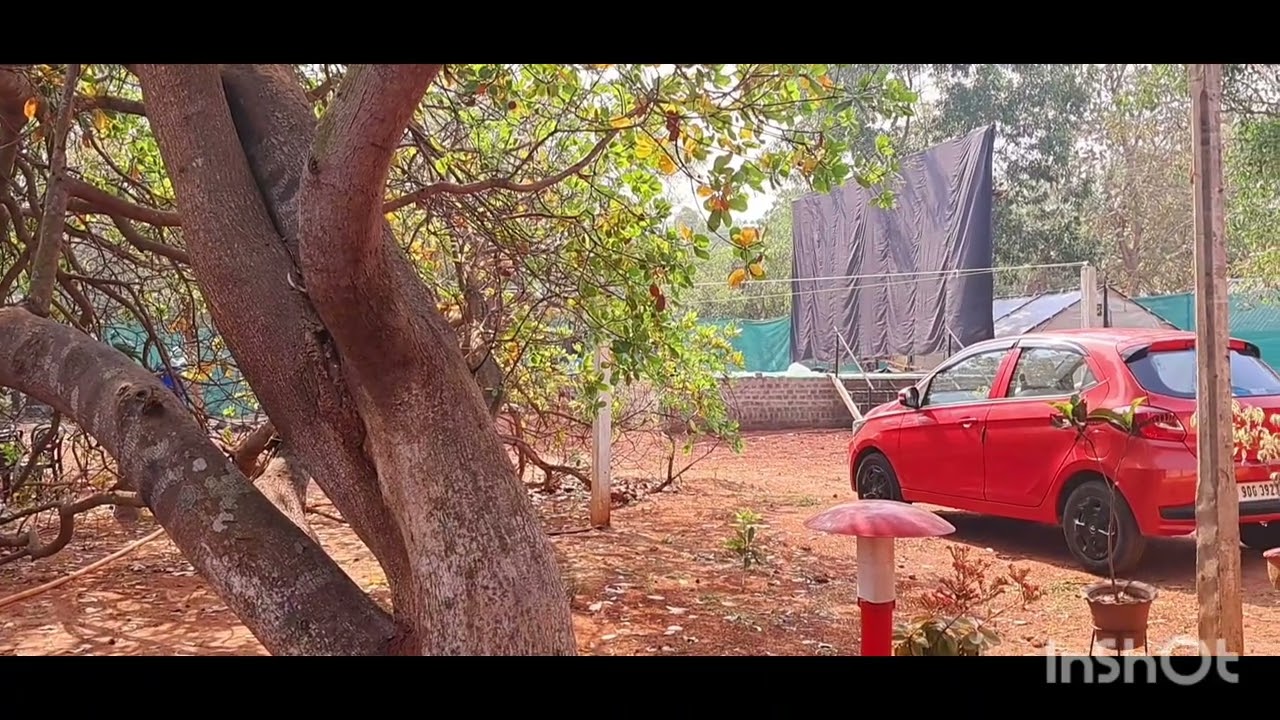 Boner Pakhi Resort, amazing Resort in Jhargram