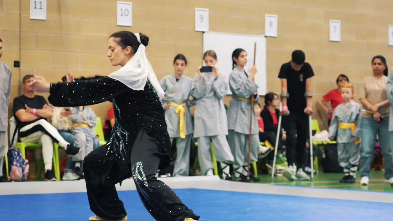 2024 National Taolu Championships - Highlights