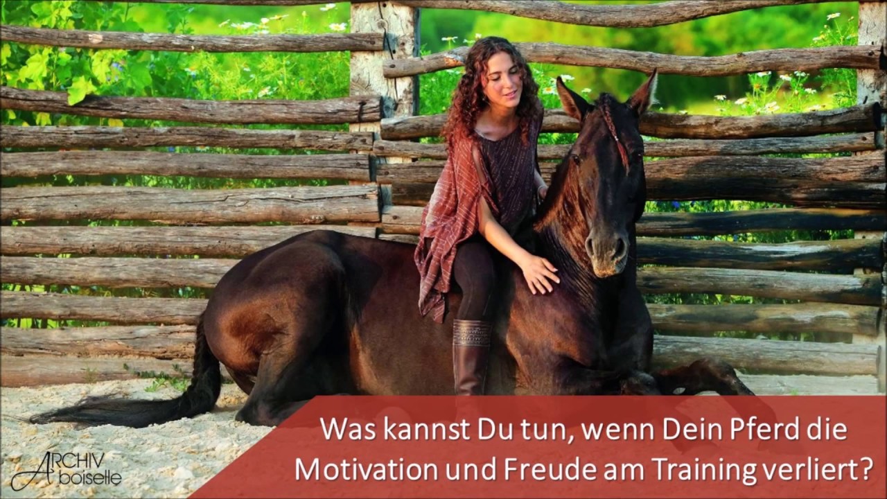 Was kannst Du tun, wenn Dein Pferd die Motivation und Freude am Training verliert?