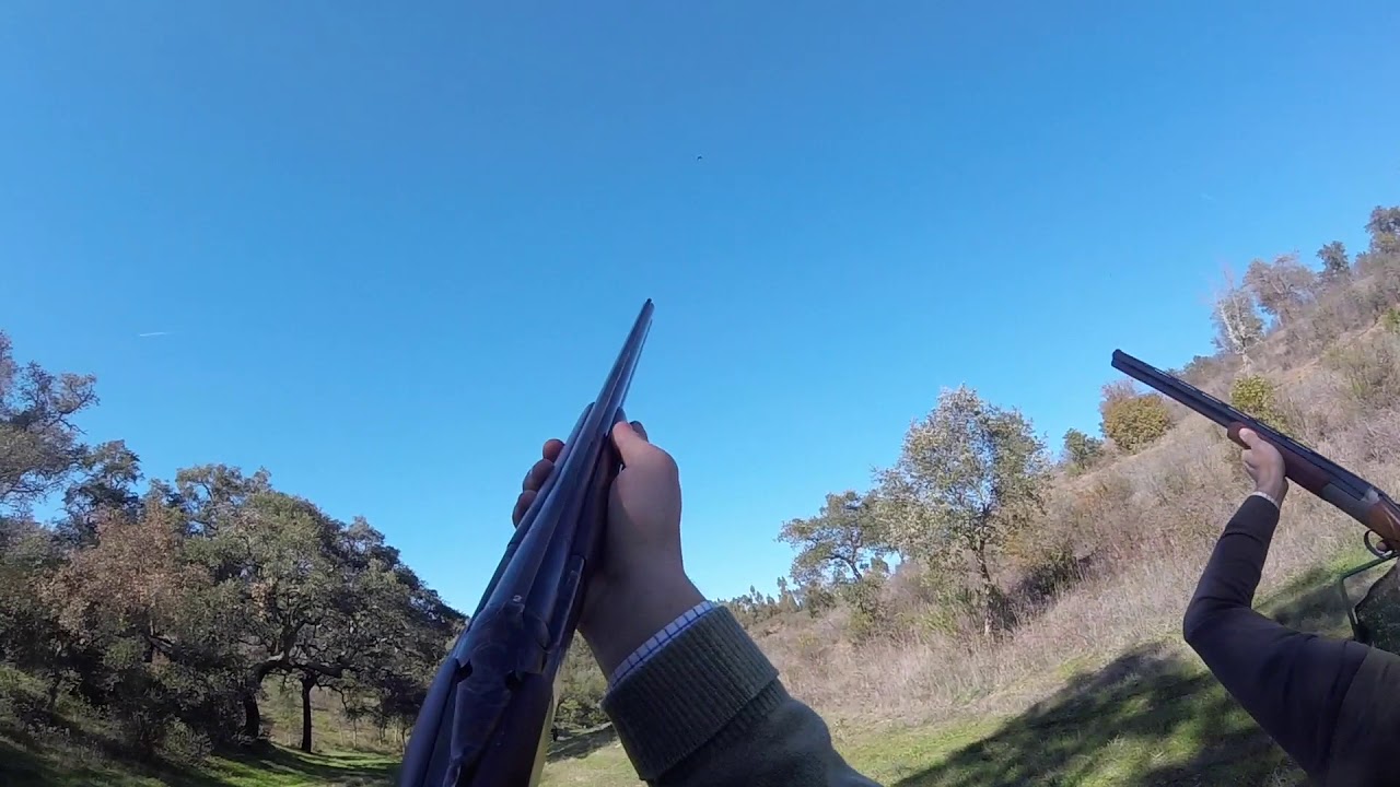 Batida Perdizes / Ojeo Perdices / Driven Partridge shooting - Mão Fatal Alápega jan2018