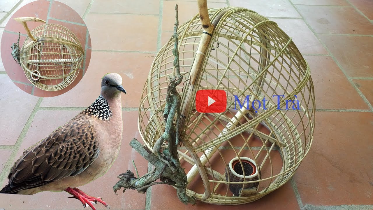Làm lồng chim cu gáy (cover lồng quả đào) making bird cage