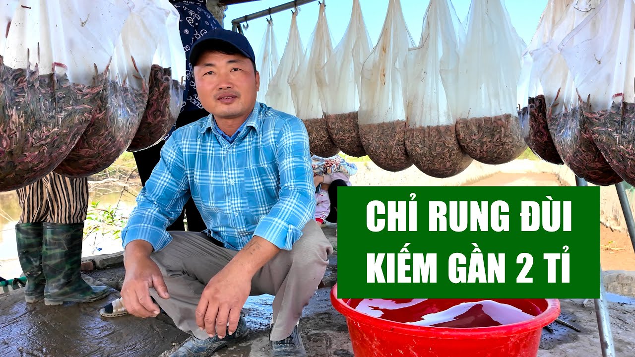 Ngồi Rung Đùi Vẫn Kiếm Vài Tỉ Mỗi Năm | Người Đặc Biệt