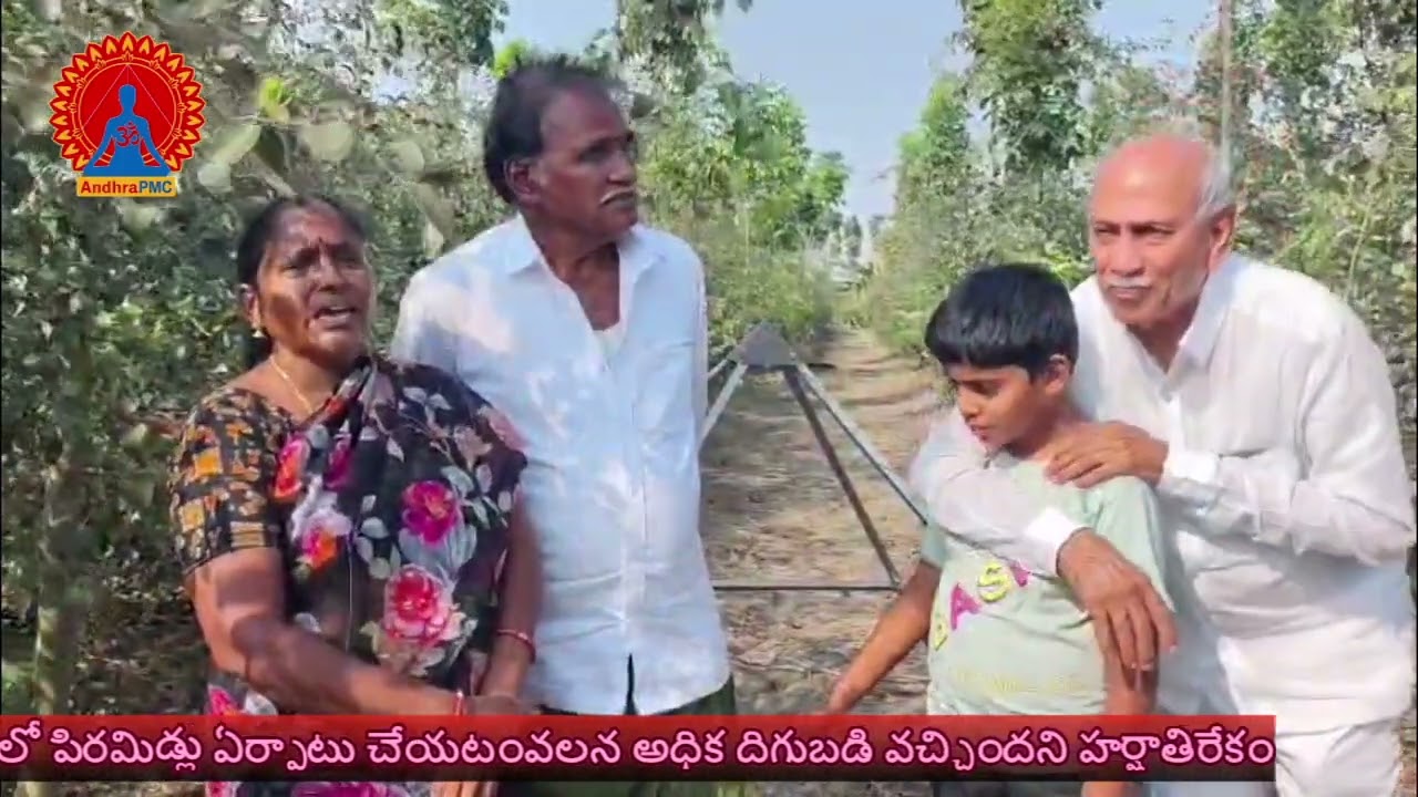 పిరమిడ్లతో అధిక ఫలసాయం...వెలగపూడి