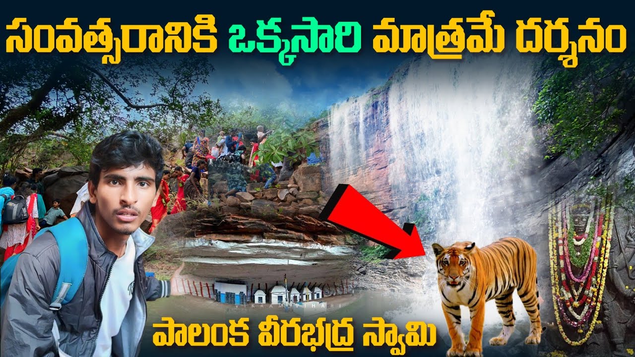 జీవితంలో ఒక్కసారి అయిన చూడాలి || పాలంక వీర భద్రస్వామి || Palanka Temple 🙏🙏🙏🕉️ ||