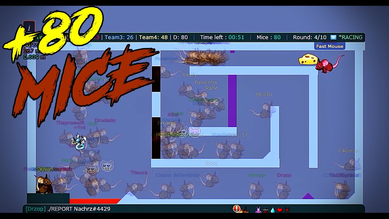 Transformice - Brkrmn (+80 MICE) Racing Gameplay #135