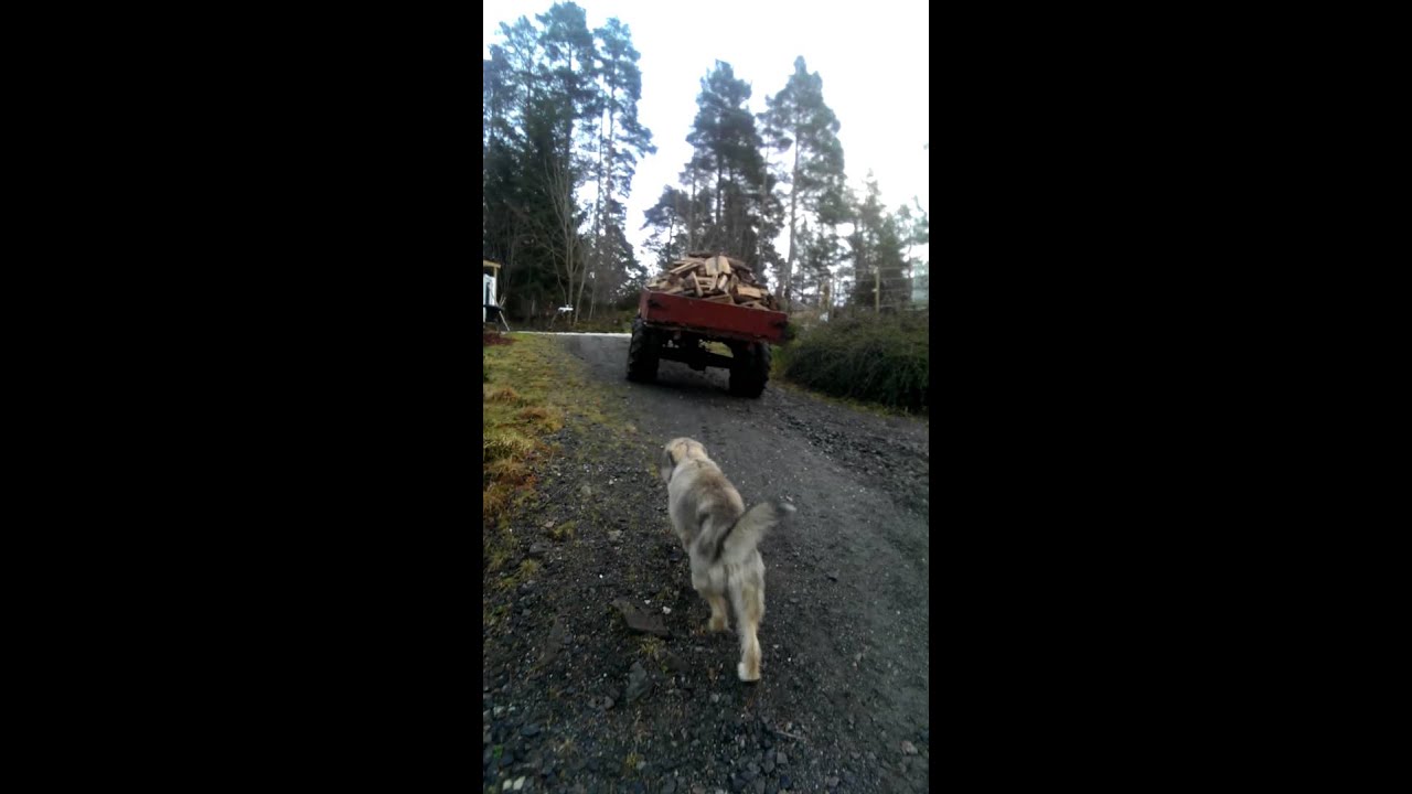 Aebi am53 med vedlass