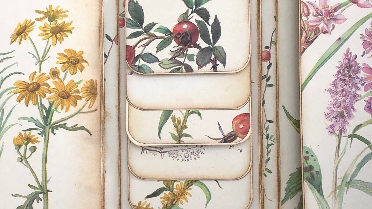 Edith Holden Pockets & Tucks (Part 1) 14