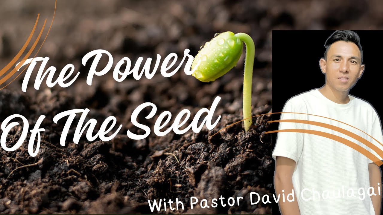 The Power Of The Seed. बिउको सामर्थ्य ।