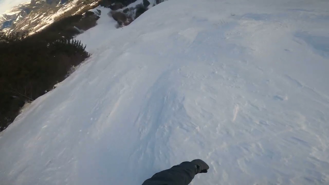 Fernie Alpine Resort Lizard Bowl