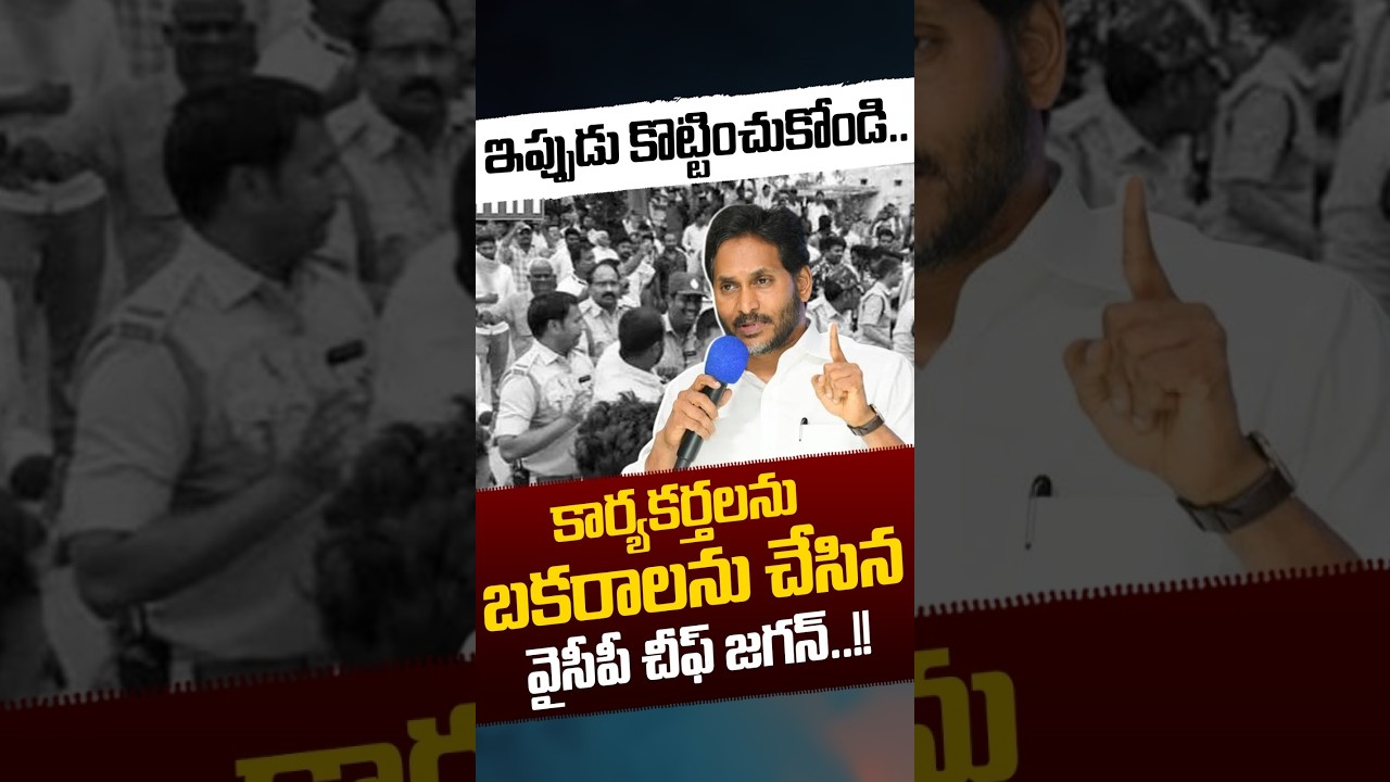 YS Jagan Shock To YCP Leaders: కార్యకర్తలను బకరాలను చేసిన వైసీపీ చీఫ్ జగన్..! | Nethra Tv Telugu