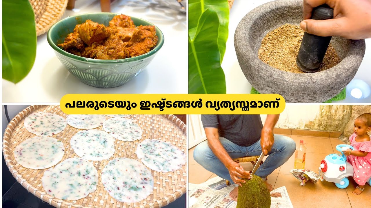കുറച്ചു നല്ല വിശേഷങ്ങളുമായൊരു കുഞ്ഞുവ്ലോഗ് | ചക്കയും രുചികരമായ പുതിയൊരു അപ്പളവും | Salu Kitchen