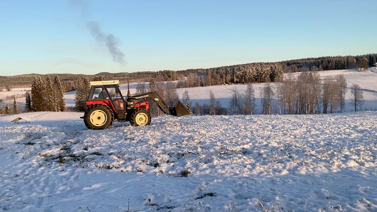 Köp Traktor Zetor 3340 med skopa och gafflar på Klaravik