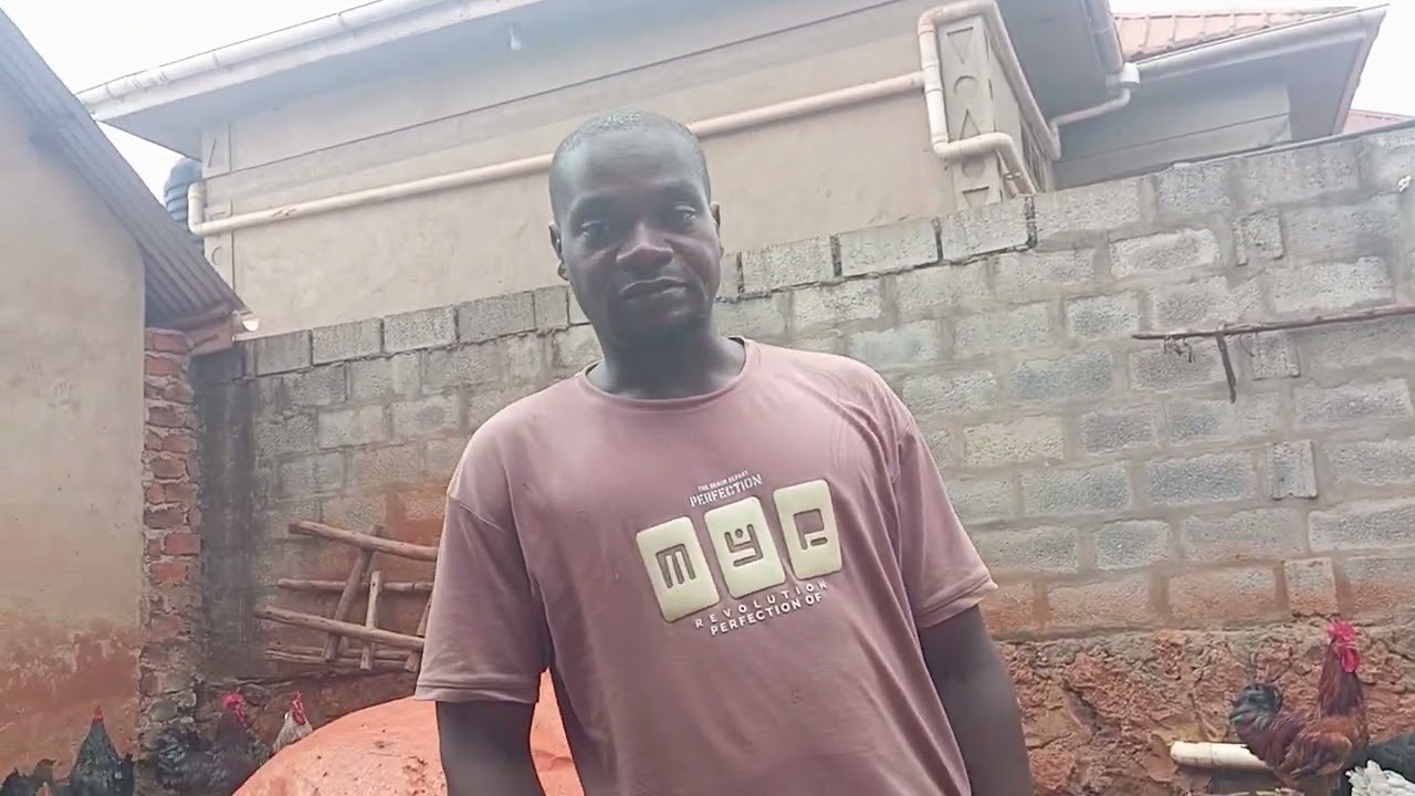 On 0758257679 you can join us and we do poultry business. Mujje tulundde enkoko enganda 