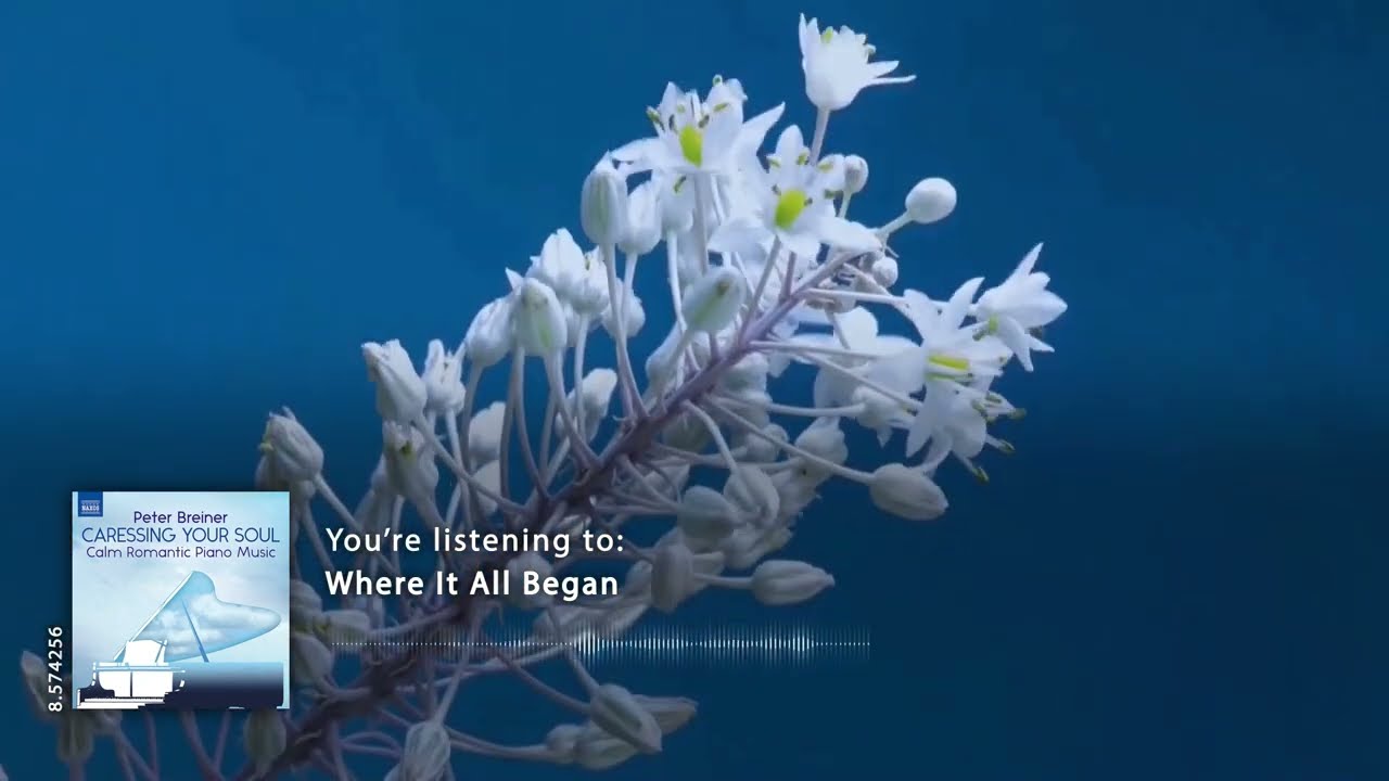 Peter Breiner: Where It All Began (music video)