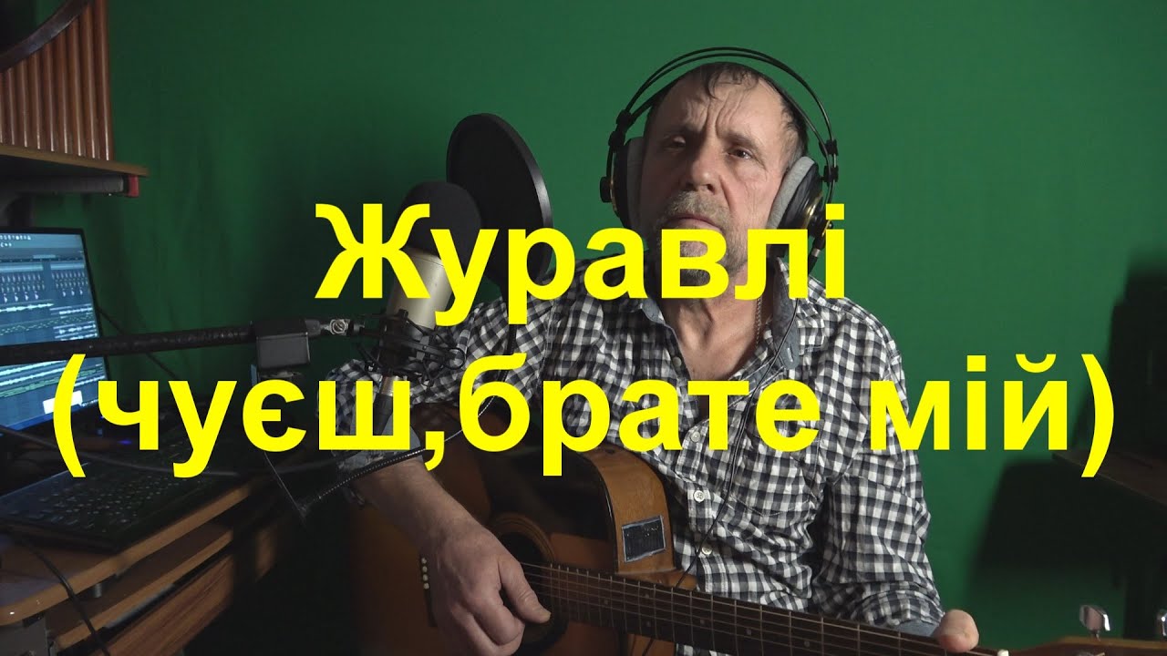 Журавлі(чуєш брате..)