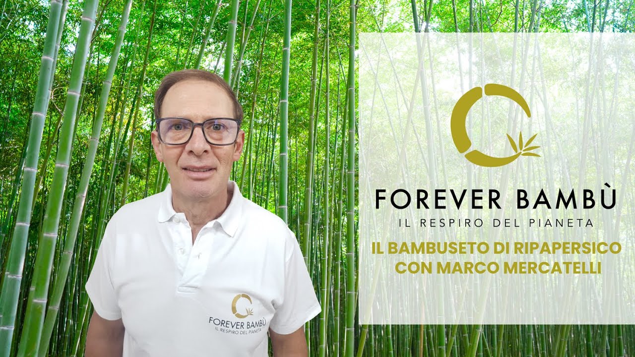 Il Bambuseto di Ripapersico