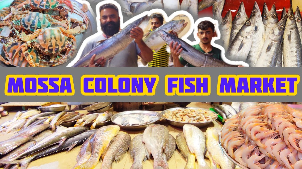 Moosa Colony Fish Market | Fresh Fish Market in Karachi | Latest Price Update