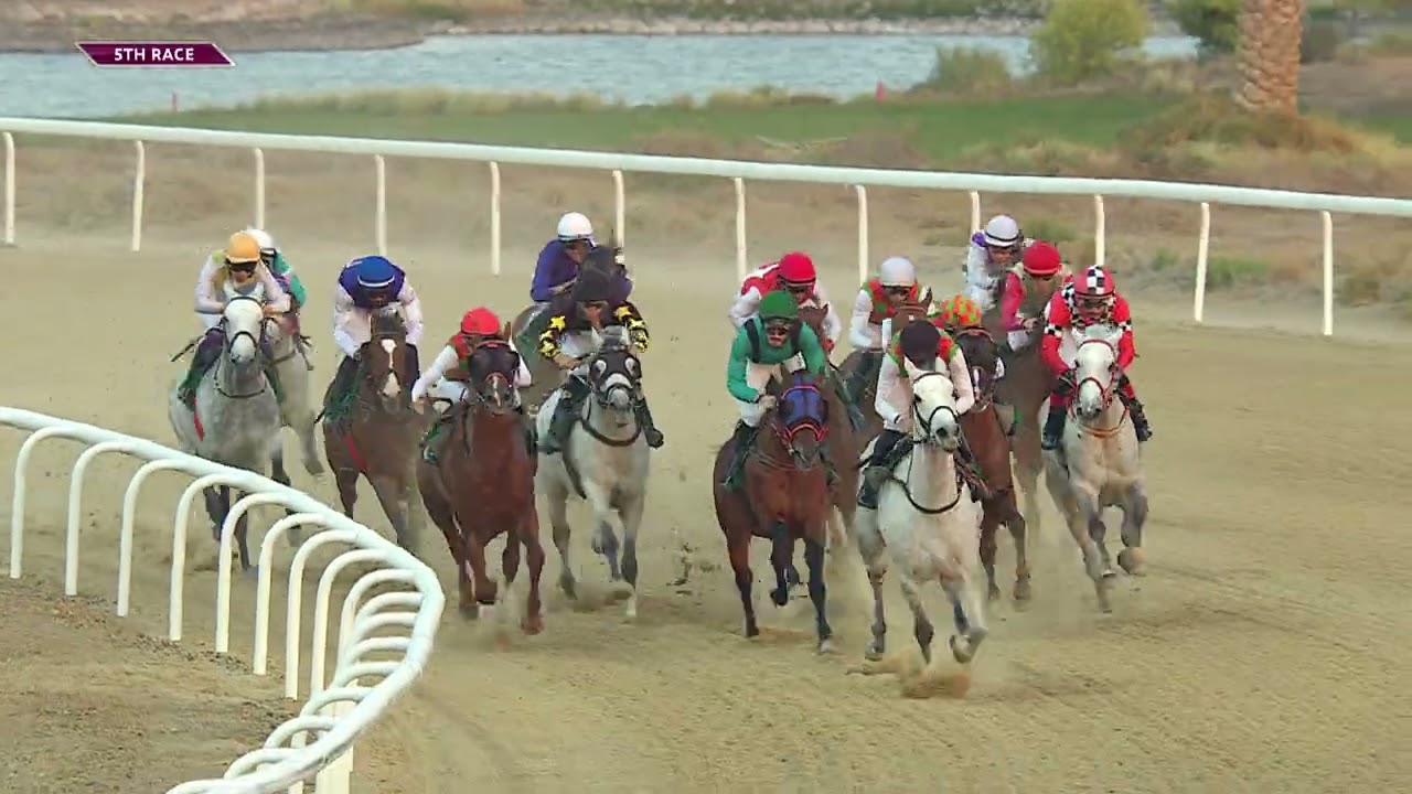 Al Ain 220226 Race 5