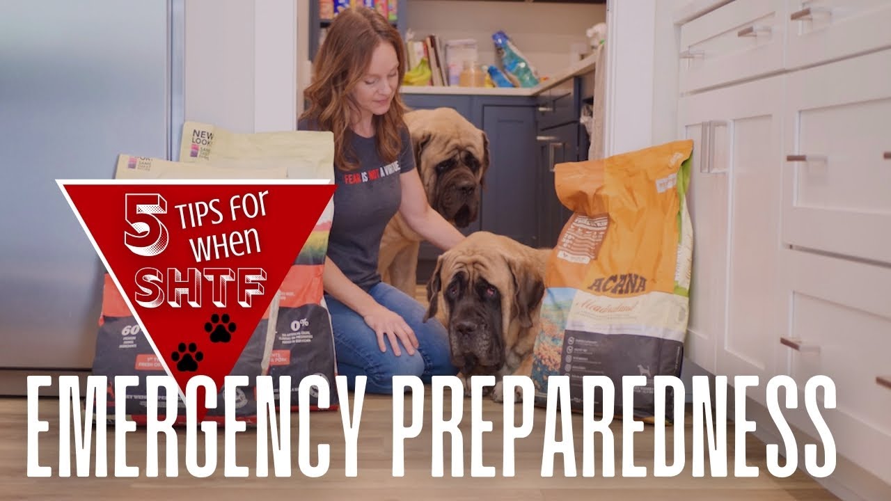 EMERGENCY Preparedness for Dog Owners | 5 Tips for When the SHTF | Are YOU Prepared?
