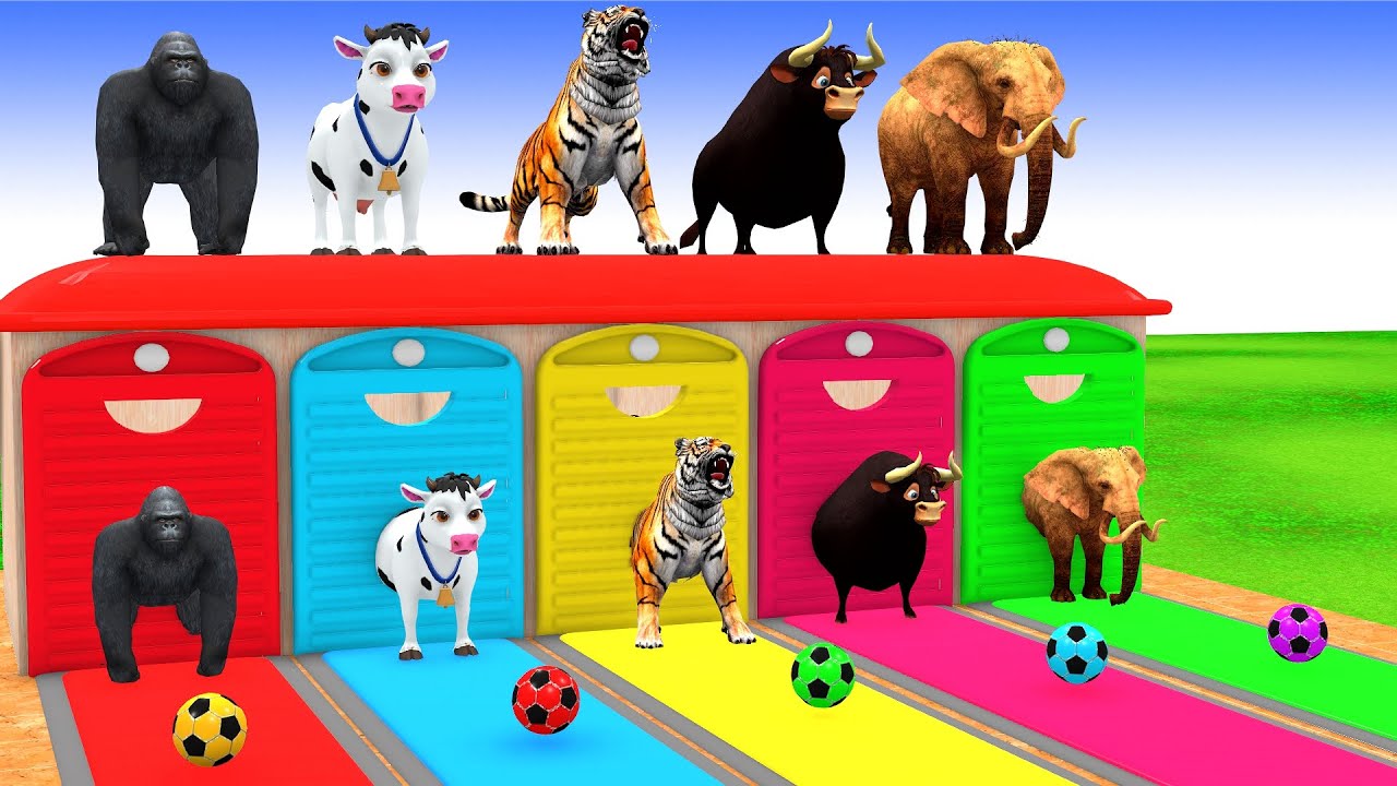 Long Slide Game with Cow Elephant Gorilla Hippopotamus Tiger 3d Animal Game Funny 3d Animals
