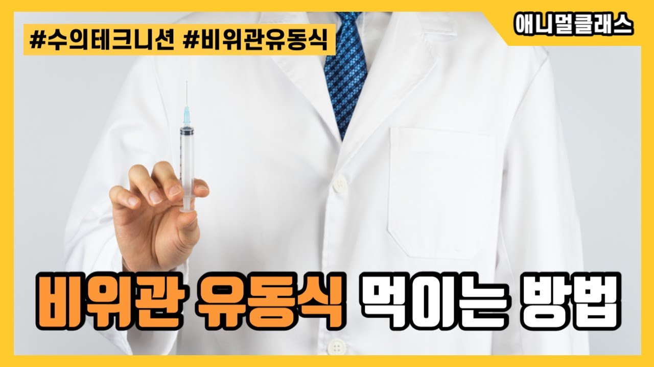 수의테크니션이 알려주는 비위관 유동식 먹이는 방법🧐
