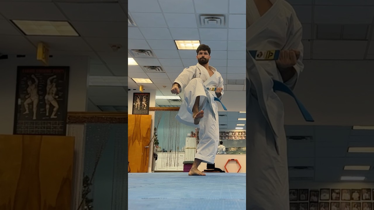 OHAN DAI KATA TRAINING | ENDING SECTION PRACTICE