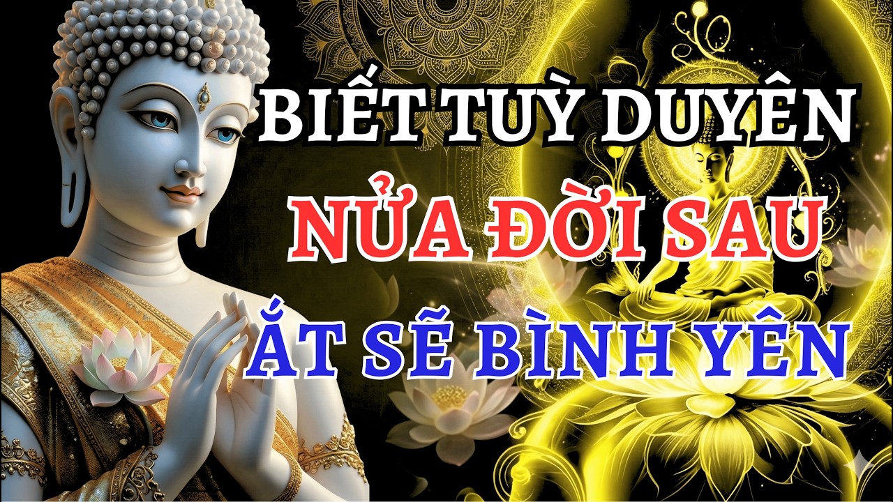 Lời Phật Dạy: Mọi Đau Khổ Đều Do 
