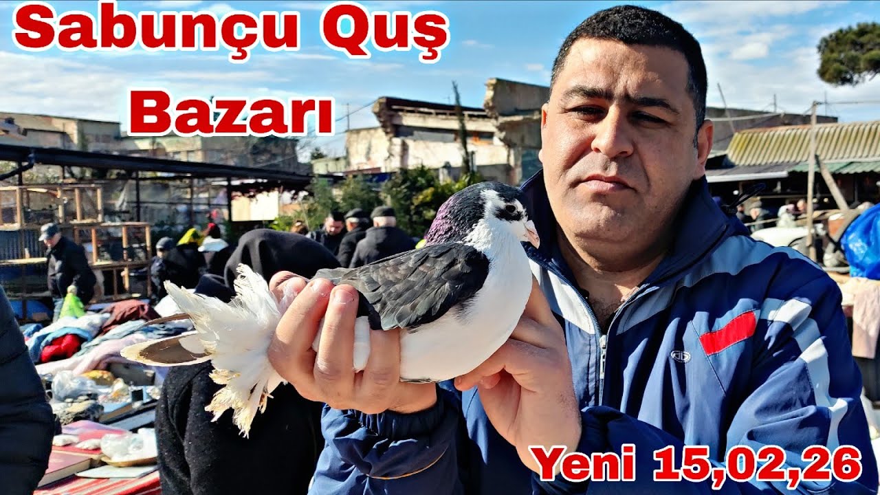 Sabunçu Quş Bazarı 15 Fevral 2026