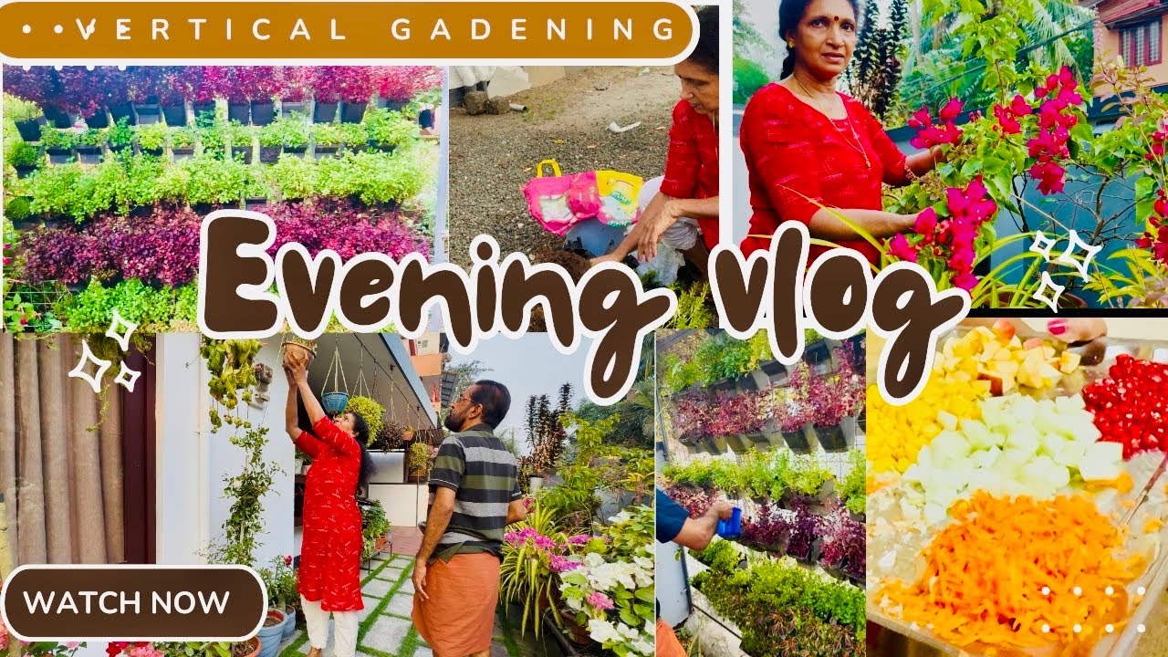 Vertical Gardening അറിയേണ്ടതെല്ലാം & healthy dinner habits|Malayalam|Anithasree#lifestyle#gardening 