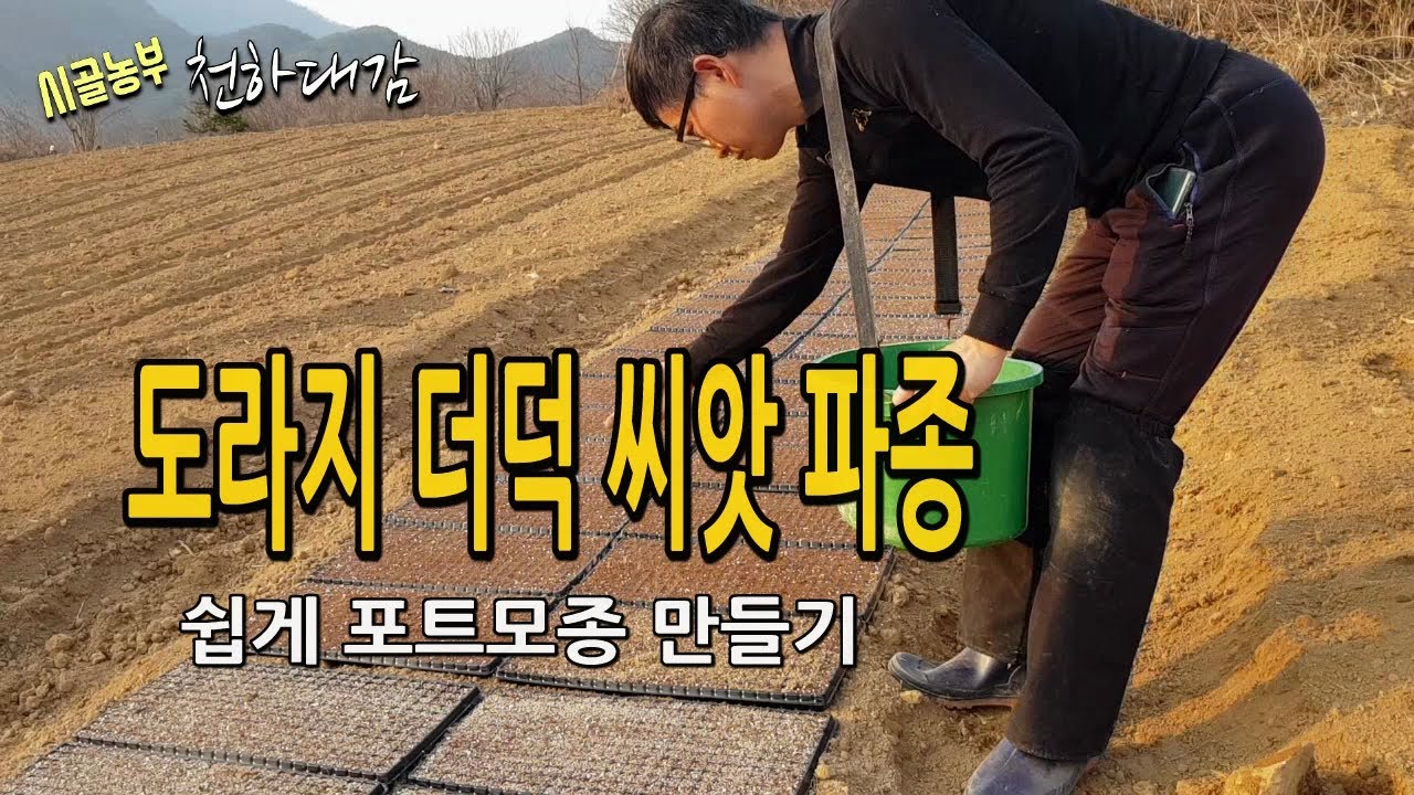 도라지 더덕 씨앗 새로운 파종방법 / 쉽게 모종만들기 작업