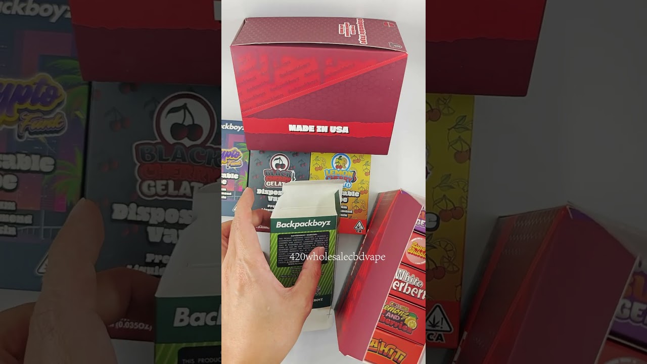 Newest Backpack Boyz Disposable Vape 2.0ml Empty Carts 2 gram