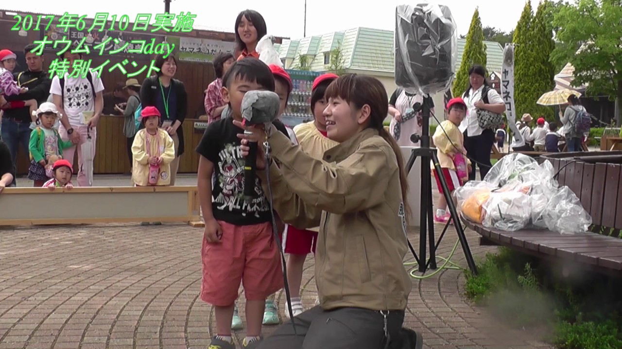那須どうぶつ王国　オウムインコdayイベント