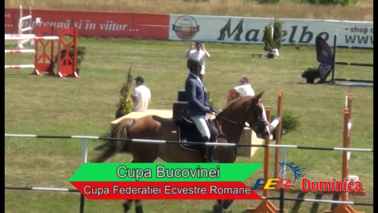Cupa Bucovinei si Cupa Federatiei Ecvestre Romane .Duminica  25 iunie 2017 , proba II