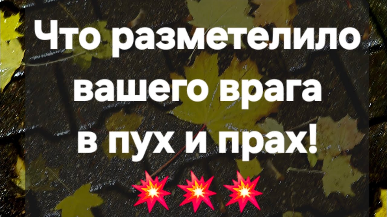 Ваш враг терзаем бе@ами! #ПредсказаниЯведьмы