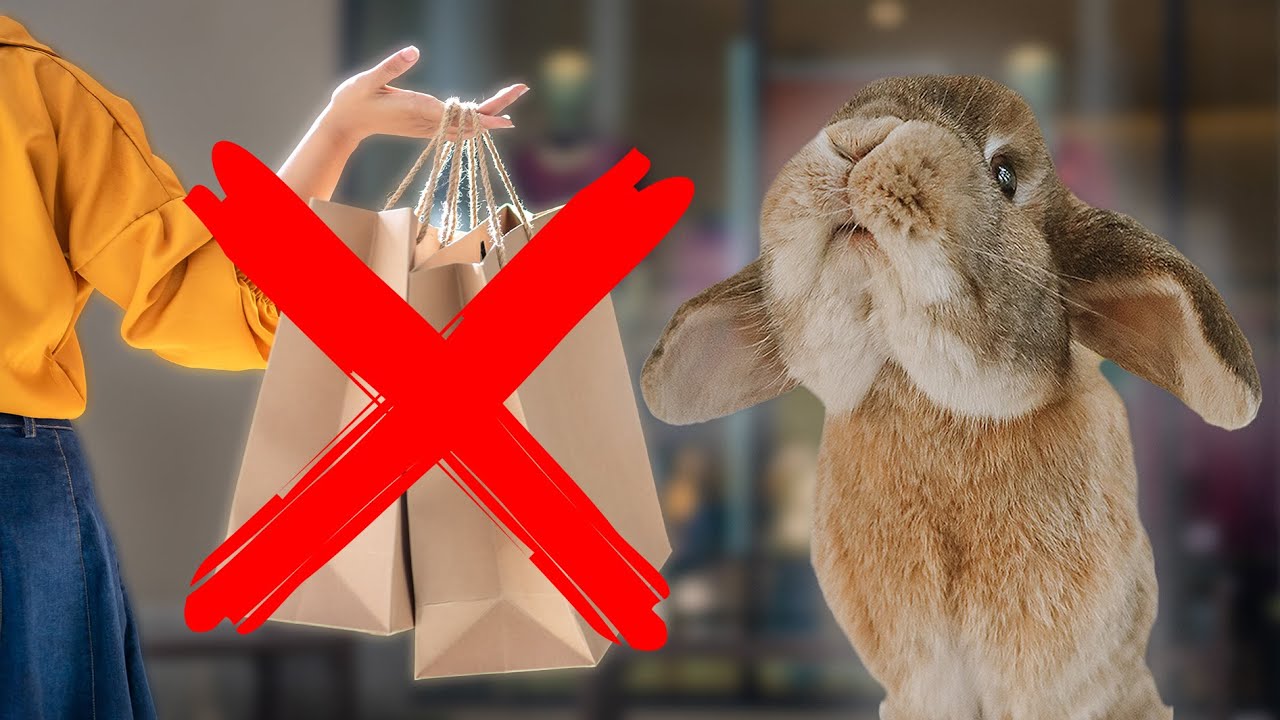 Я жалею, что купил эти продукты для кроликов...