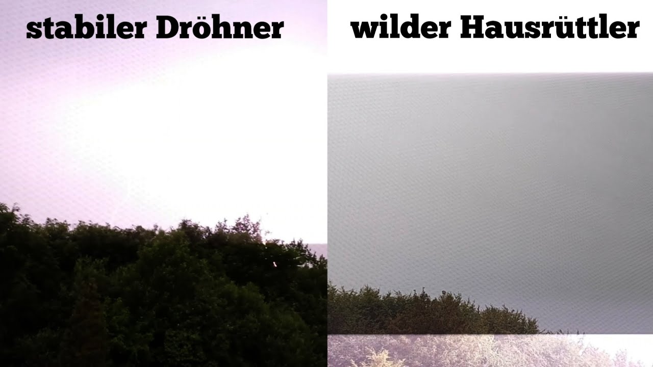 BLITZKATEGORIEN | Vom SCHWACHEN BRUMMLER bis WILDEN HAUSRÜTTLER