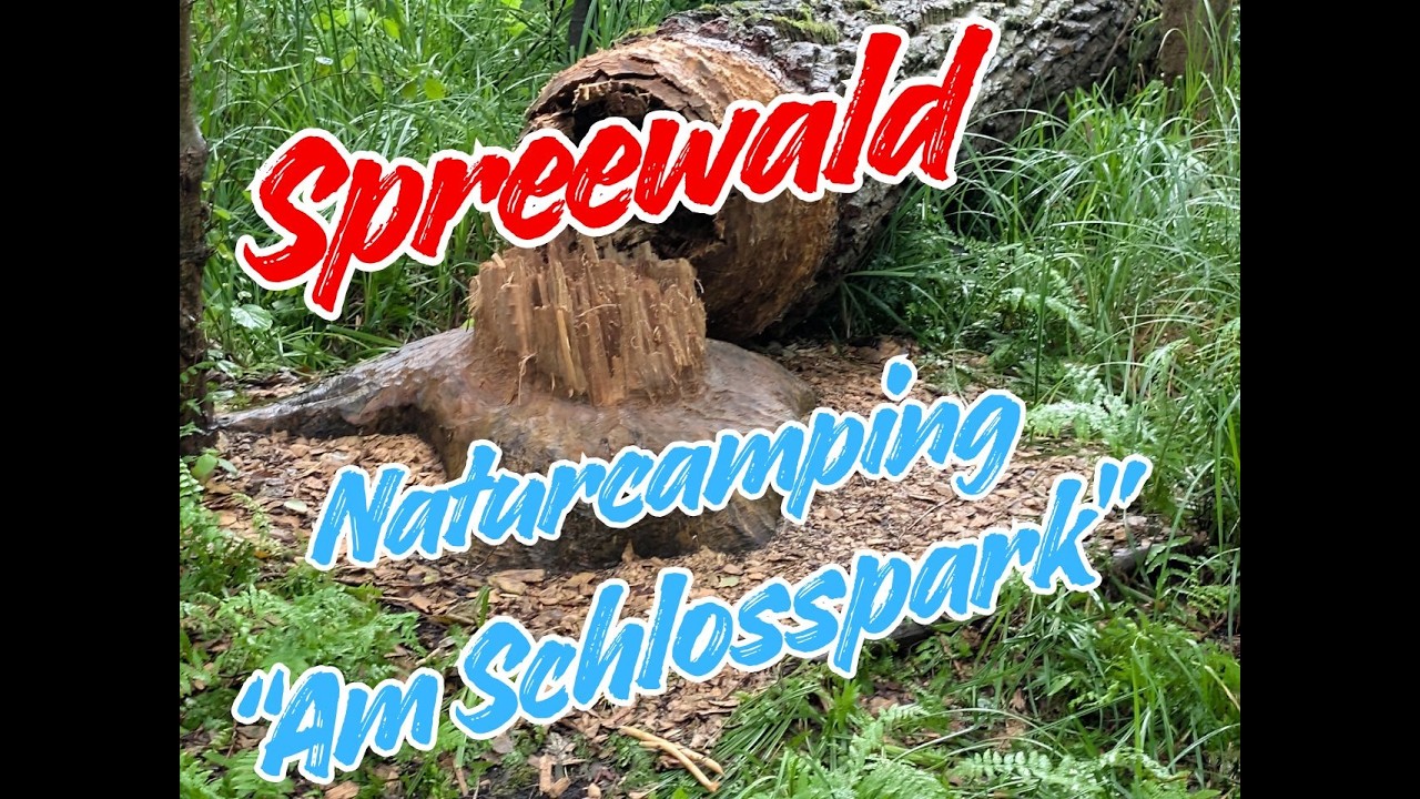 Einer der schönsten Campingplätze im Spreewald? Unser Eindruck 🚐🌿